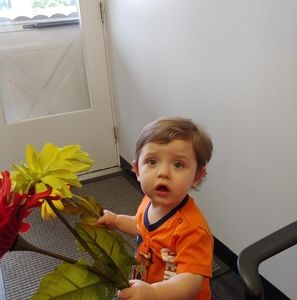 Meet your Posher, Samantha